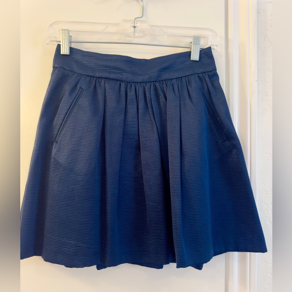 Banana Republic Blue A-Line Pleated Skirt Knee-Length